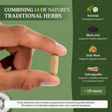 Soursop Capsules: Daily Holistic Blend