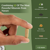 17-in-1 Daily Herbal Blend